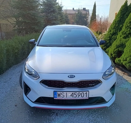 Kia Pro_cee'd cena 114800 przebieg: 79350, rok produkcji 2020 z Siedlce małe 154